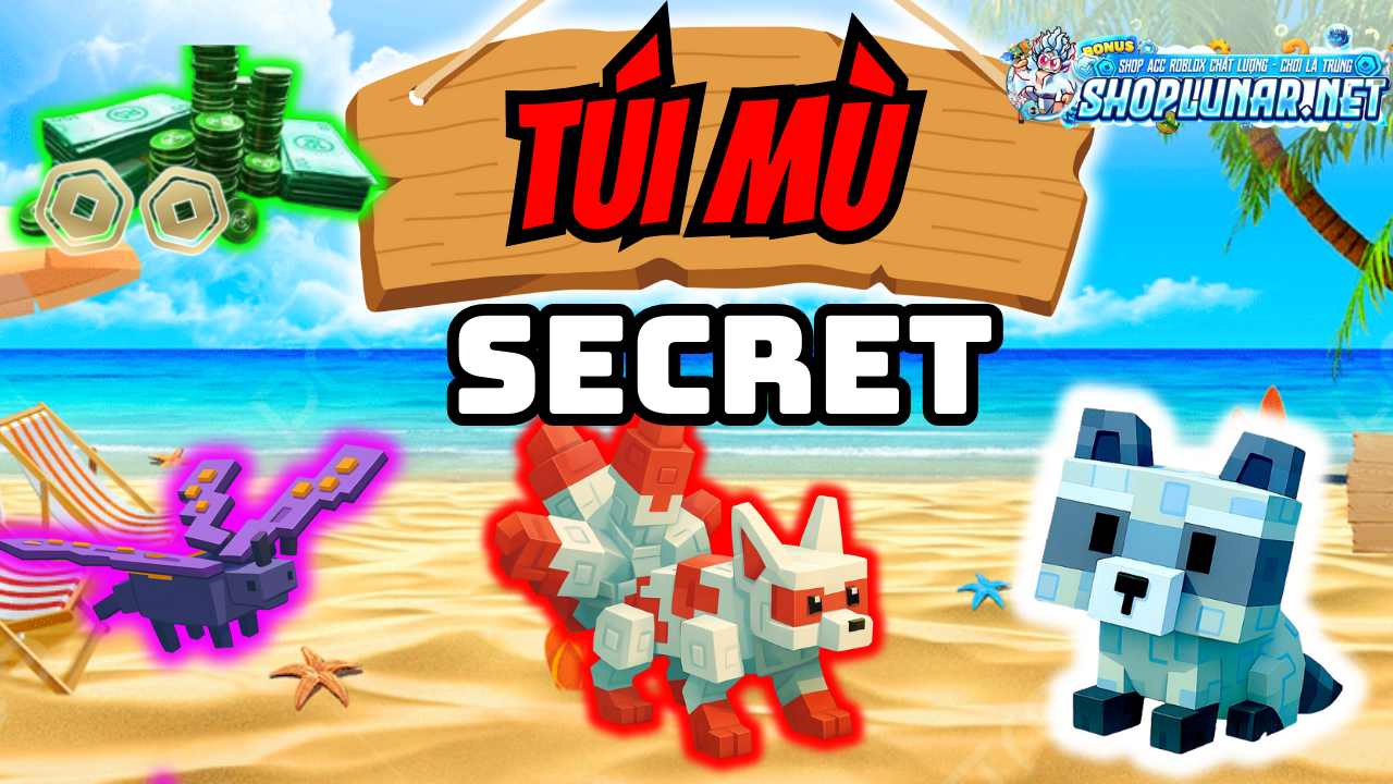 TÚI MÙ SECRET 500K